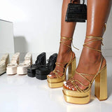 Fashionable Sexy Sapato De Salto New Design Thick Sole 14CM High Chunky Open Toe Platform Heels