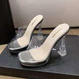 Sexy Trendy Perspex Shoes Transparent Slipper Clear Heels for Women and Ladies