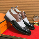 Pointed Toe Durable Dress Shoes Classic Design Hot Selling Handsome Lace up Red Bottoms Formal Shoes for Men