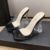 Sexy Trendy Perspex Shoes Transparent Slipper Clear Heels for Women and Ladies